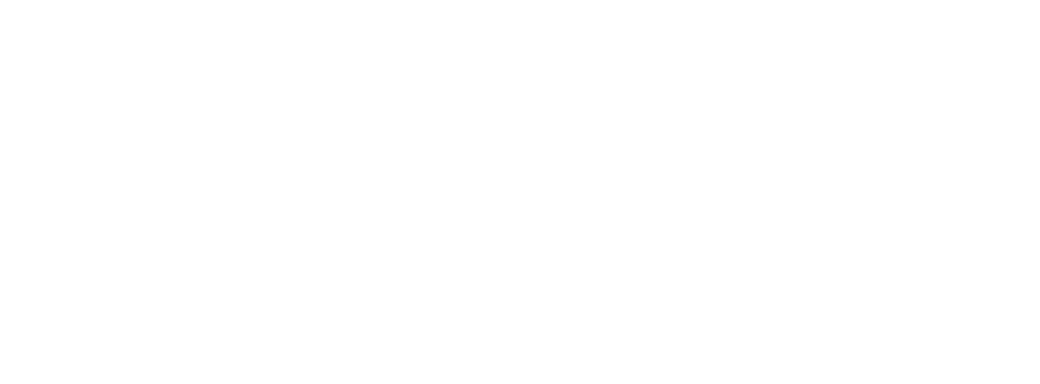 IEEE Computational Intelligence Society Logo